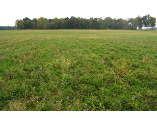 Pond in Dekalb County, Indiana - MAJOR LAND AUCTION - 516+/- ACRES OFFERED IN 18 TRACTS OR COMBINATIONS IN DEKALB COUNTY, INDIANA